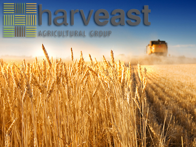 Агрохолдинг HarvEast построит новый семенной завод в Донецкой области